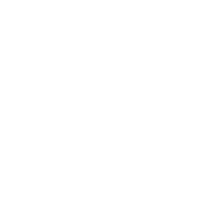 End2End COO