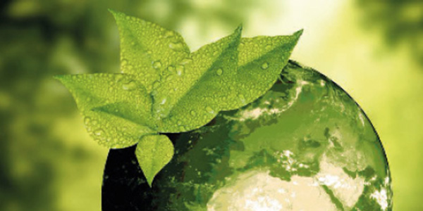 A wide range of 100% recycled papers for corrugated cardboard.