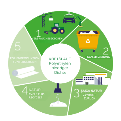 Zyklus von Polyethylen niedriger Dichte