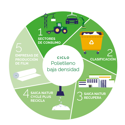 Ciclo del Polietileno de Baja Densidad 