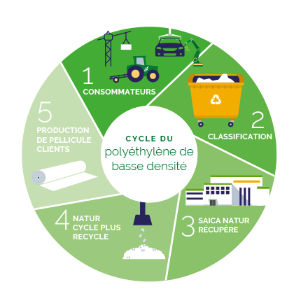 Cycle du polyéthylène basse densité 