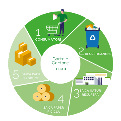 Ciclo della carta ondulata e del cartone