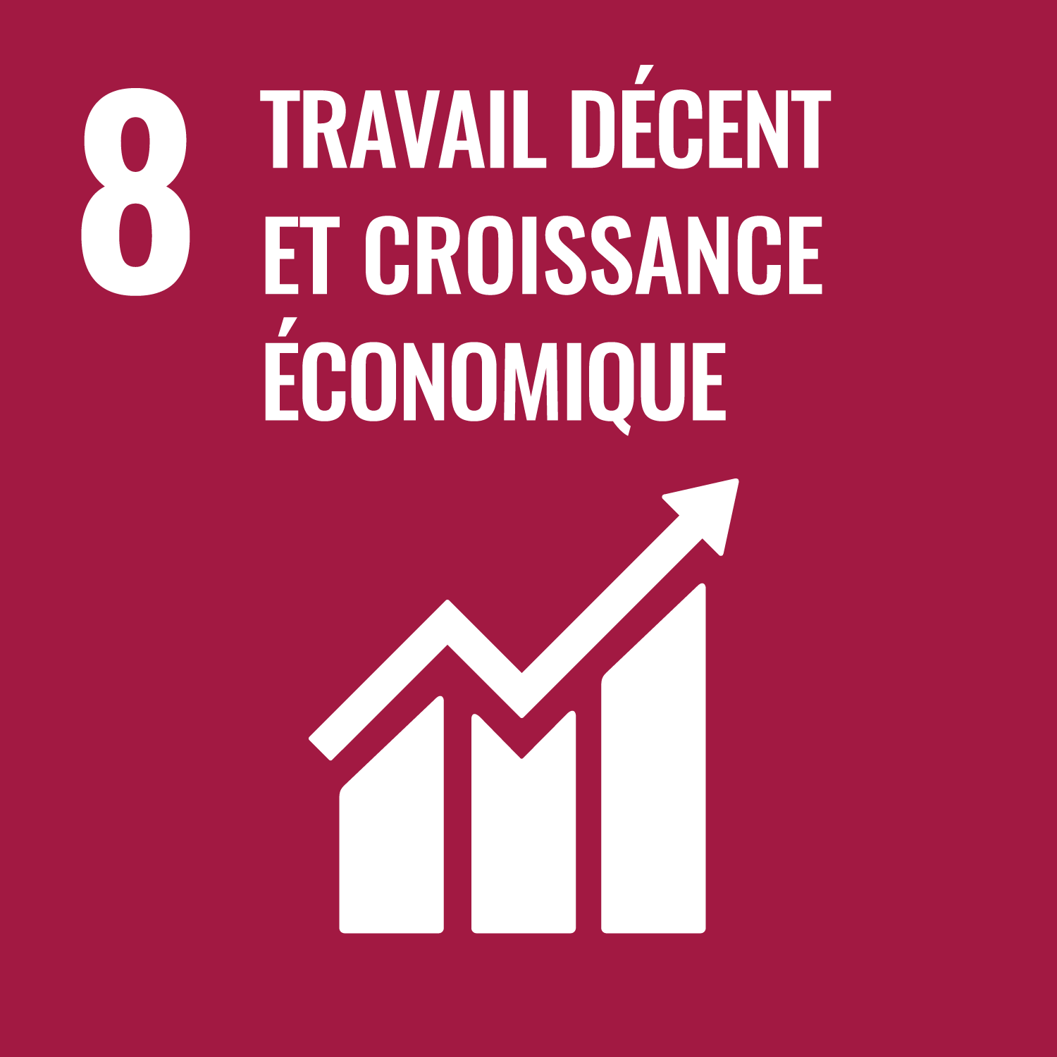 ODS 8: Travail décent et croissance