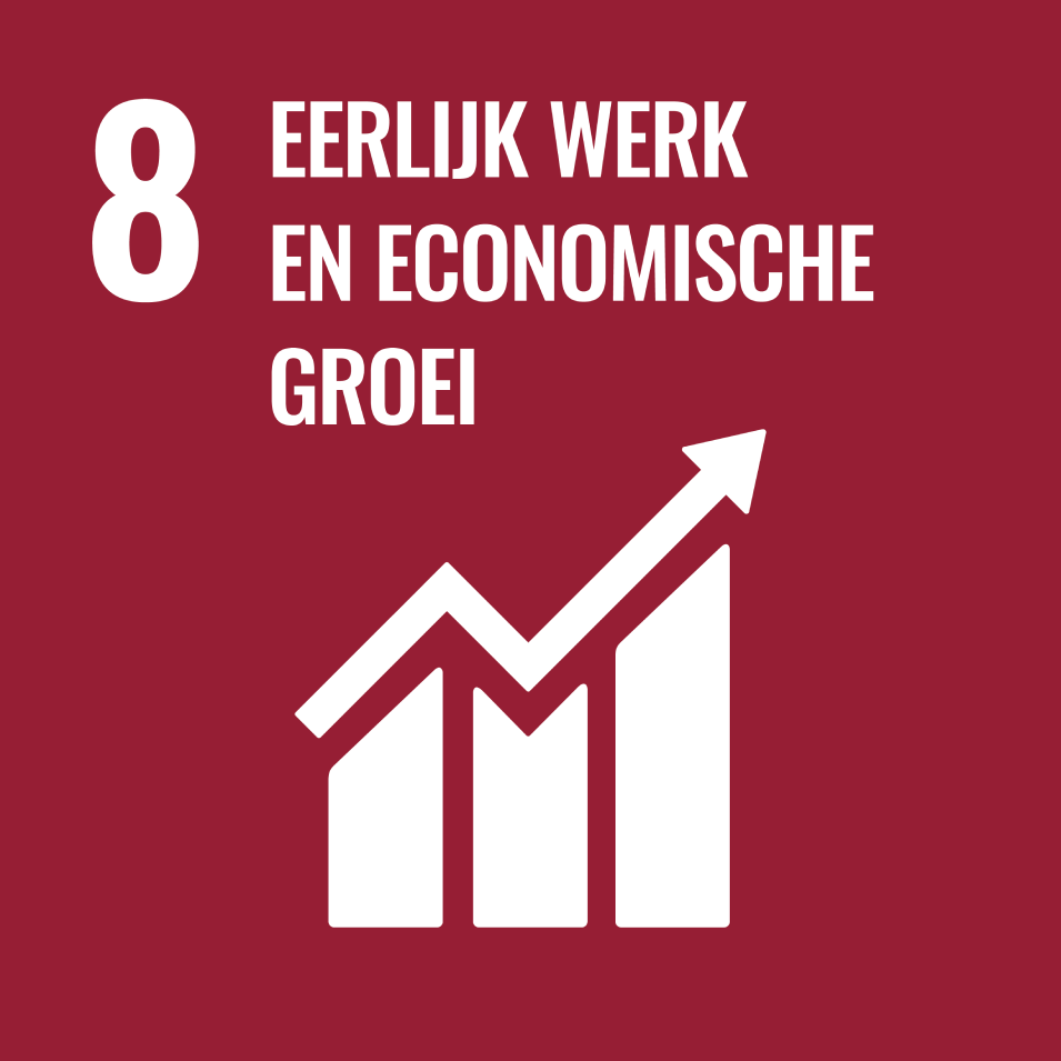 SDG 8: Fatsoenlijk werk en economische groei