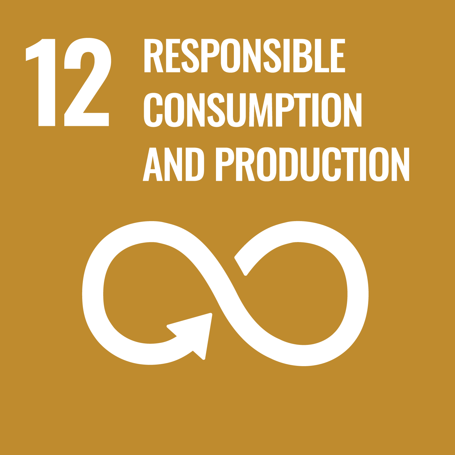 ODS 12: Sustainable Production and Consumption