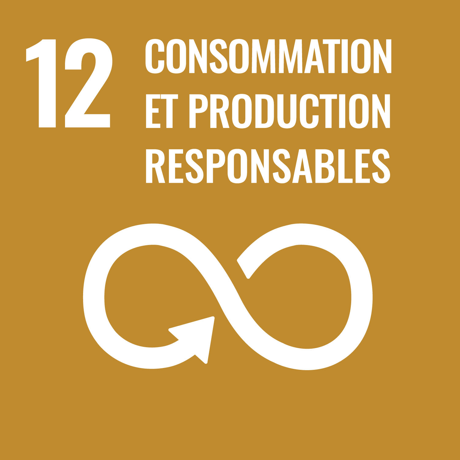 ODS 12: Production et consommation responsables