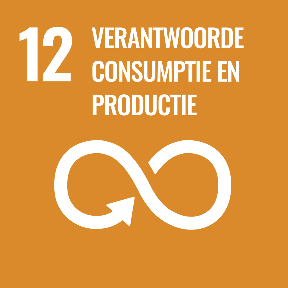 SDG 12: Duurzame productie en consumptie