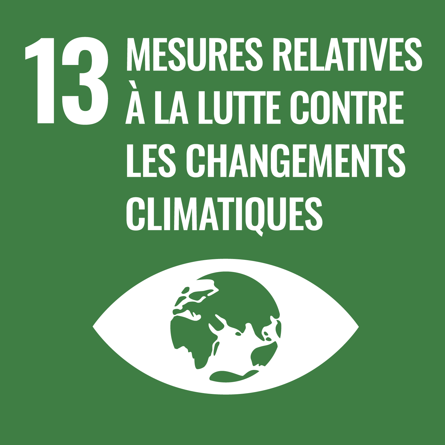ODS 13: Action pour le climat