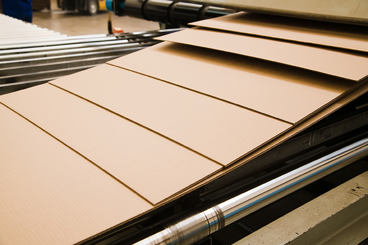 Sheets of corrugated cardboard on a conveyor