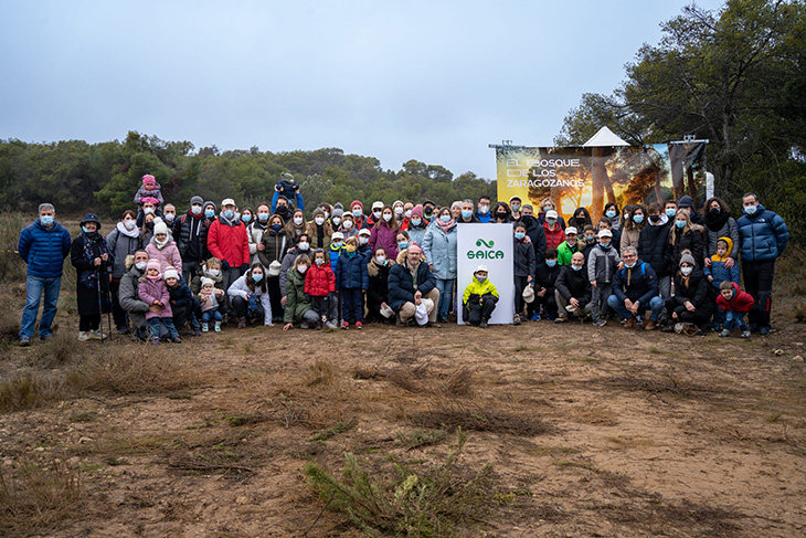 El bosque de los Zaragozanos