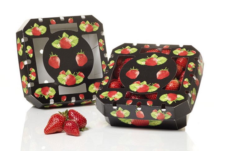 strawberry fresh pack trays