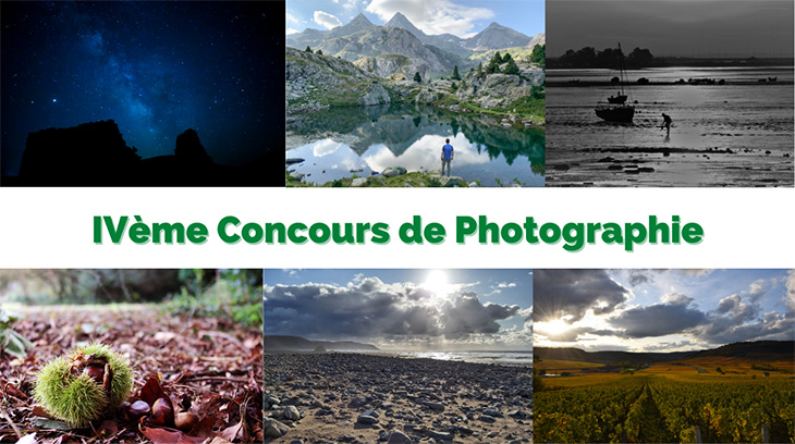 concurso de fotografía