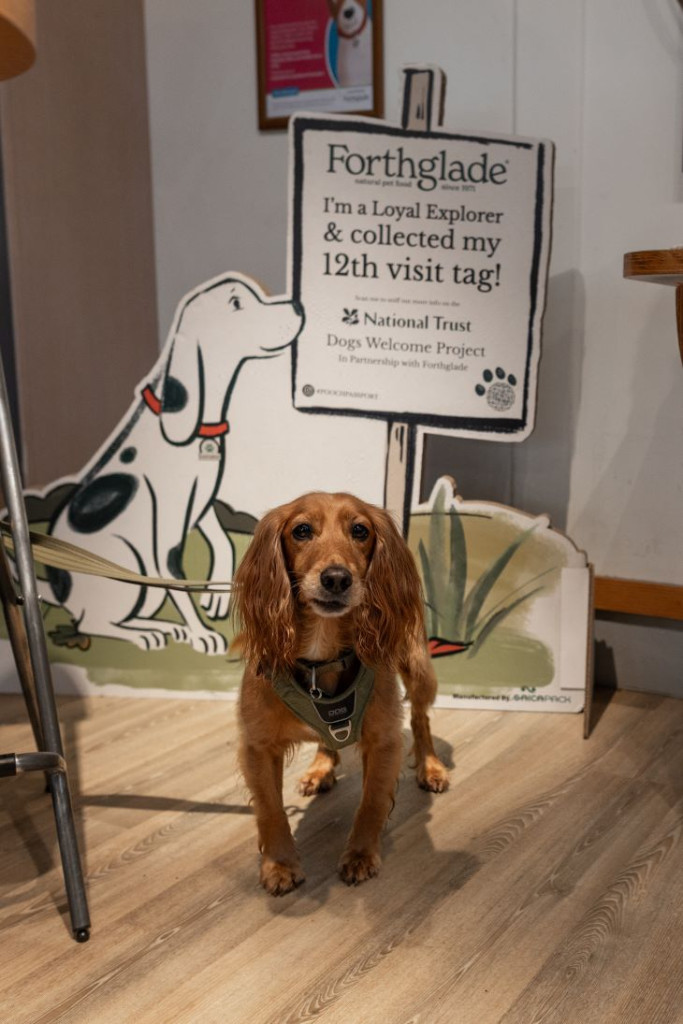 Saica Pack Provides Forthglade with National Trust Pooch Passport Engagement Tool Signs