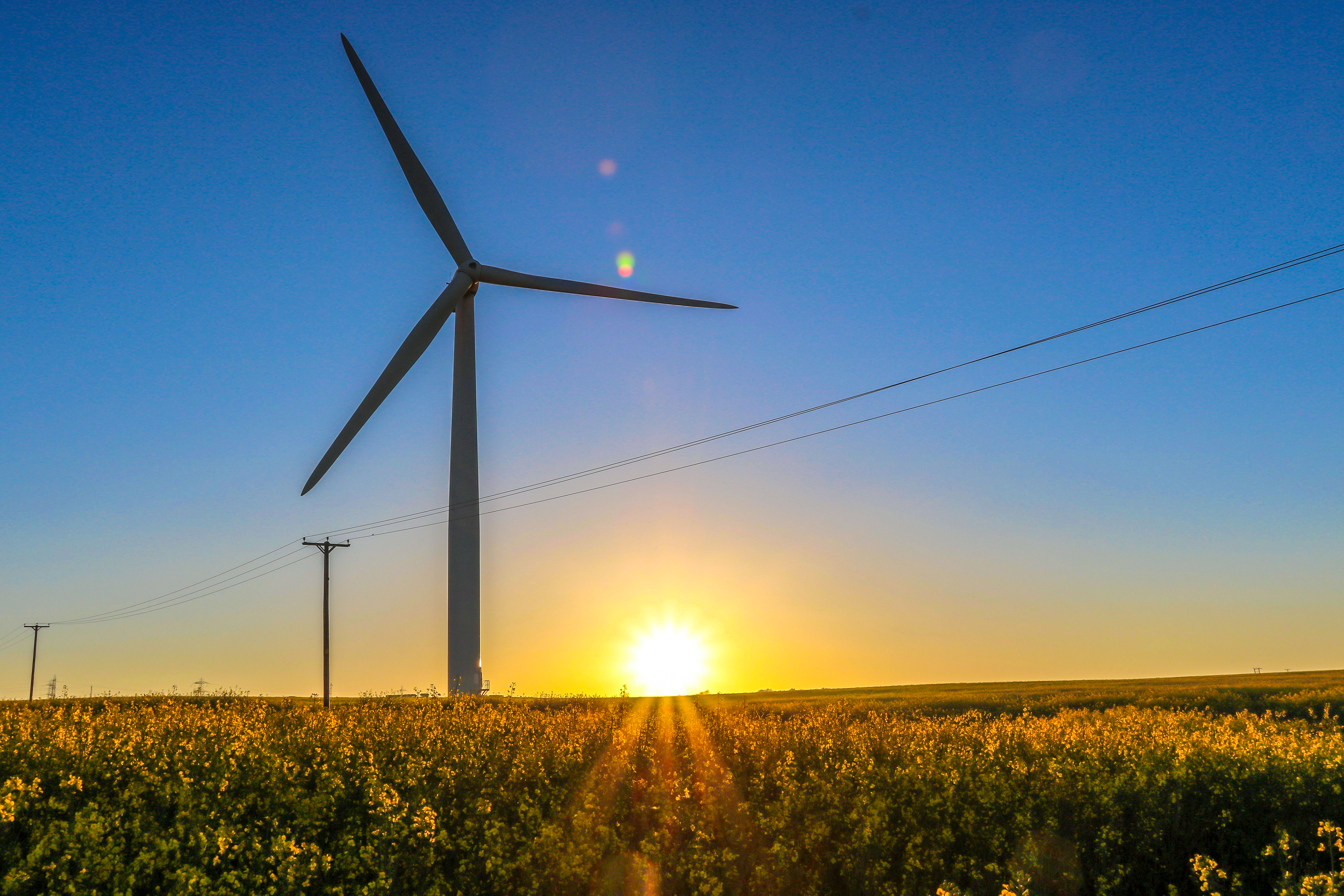 Saica Natur refuerza su compromiso con la sostenibilidad y logra que el 100% de la electricidad consumida en 2020 tenga origen renovable