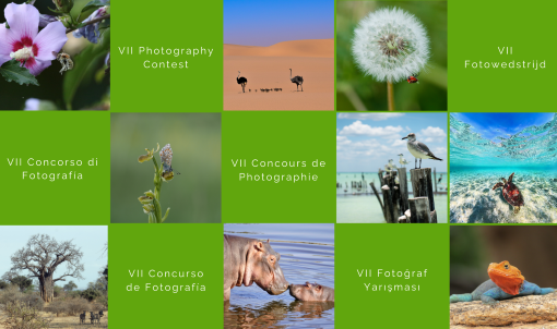 The winners of the 7th Saica Group Environmental Photography Competition have been announced
